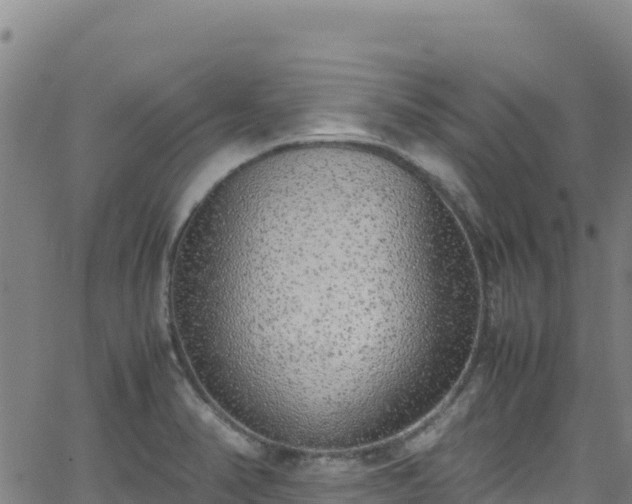 X0000062931374200601181259