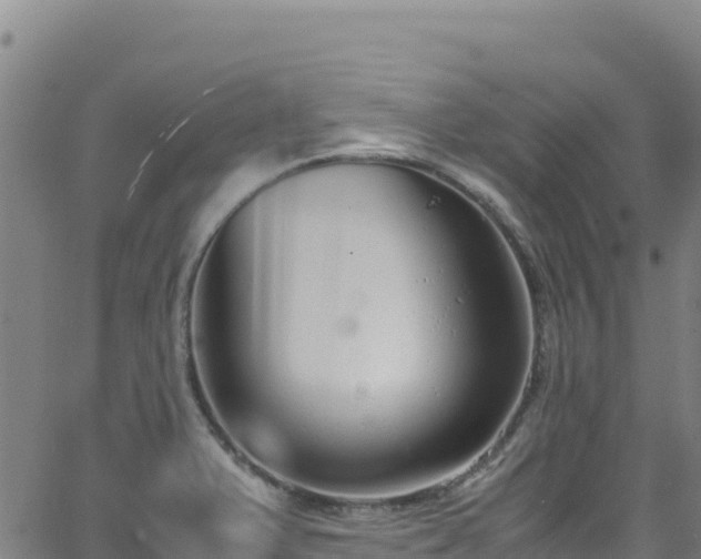 X0000062931375200601181259