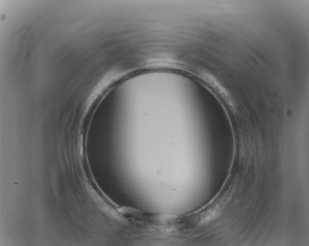 X0000062931376200601181259