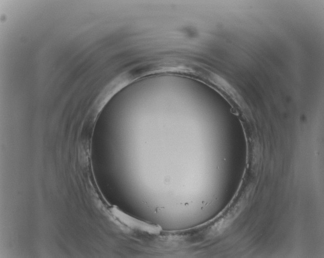 X0000062931377200601181259