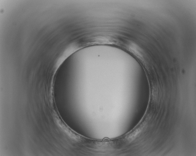 X0000062931378200601181259