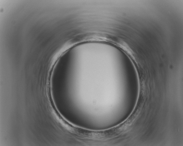 X0000062931379200601181259