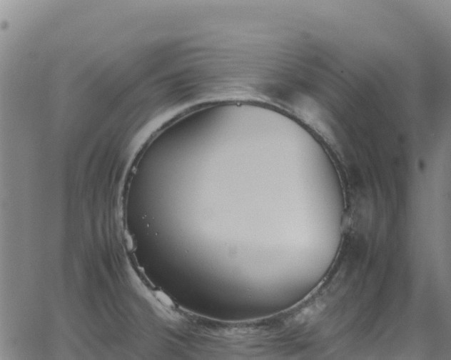 X0000062931380200601181259