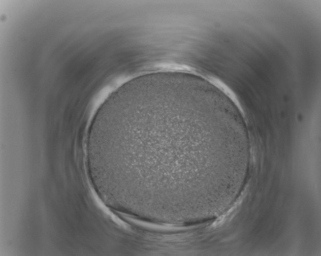 X0000062931381200601181259