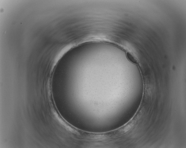 X0000062931382200601181259