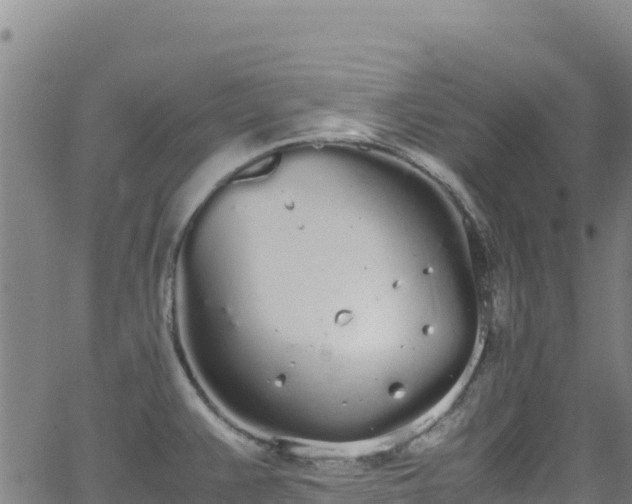 X0000062931383200601181259