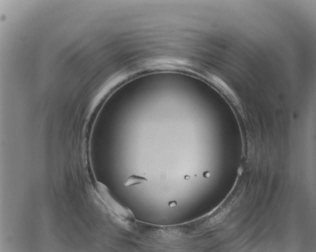 X0000062931384200601181259