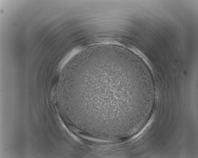 X0000062931385200601181259