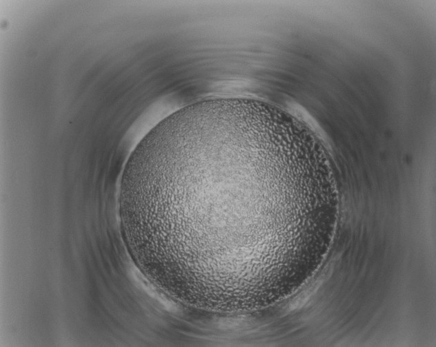 X0000062931386200601181259