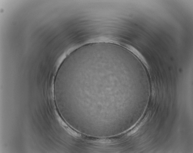 X0000062931388200601181258