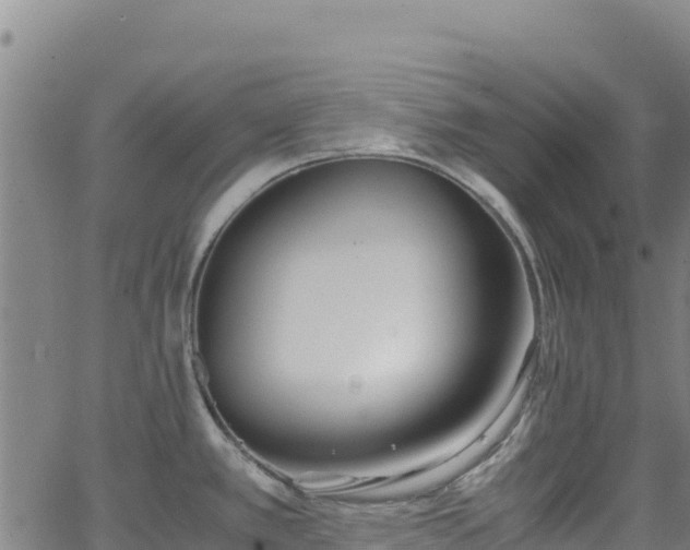 X0000062931389200601181258