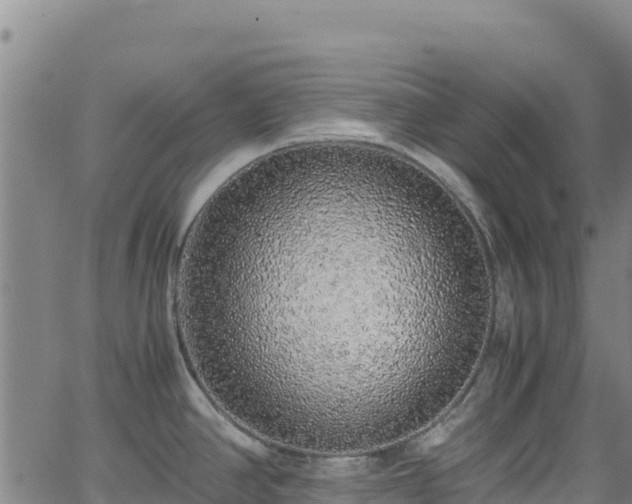 X0000062931390200601181258