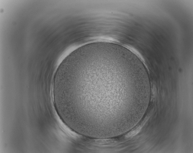 X0000062931391200601181258