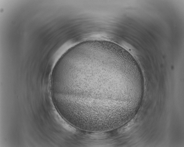 X0000062931392200601181258