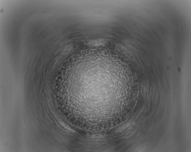 X0000062931393200601181258