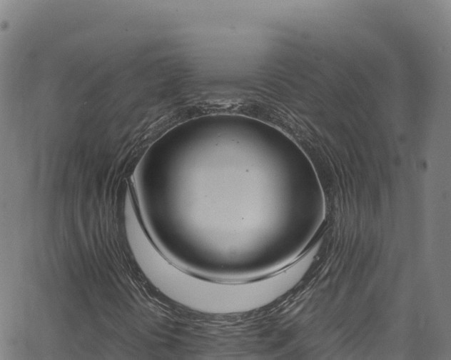 X0000062931394200601181258