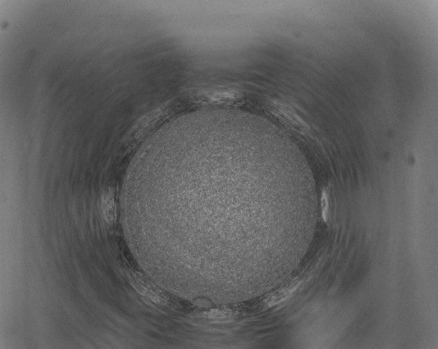 X0000062931395200601181258