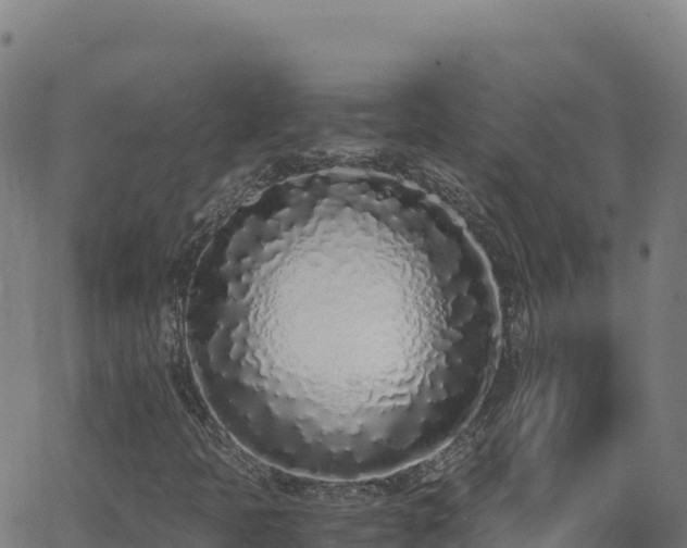 X0000062931397200601181258