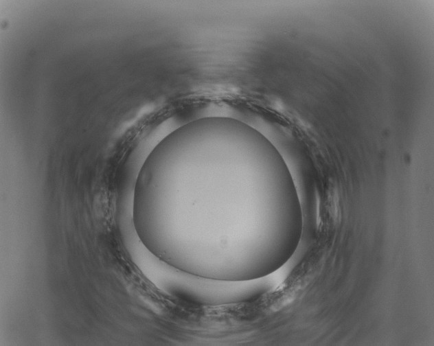 X0000062931398200601181258