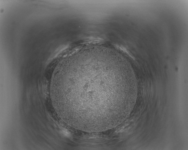 X0000062931399200601181258