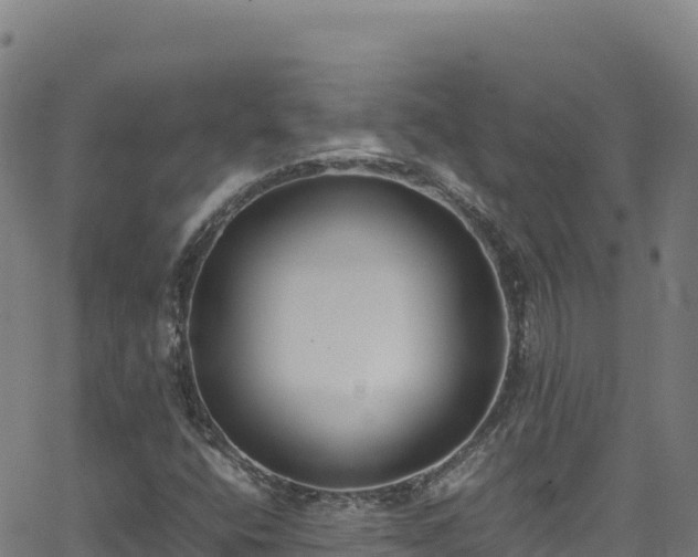 X0000062931400200601181258