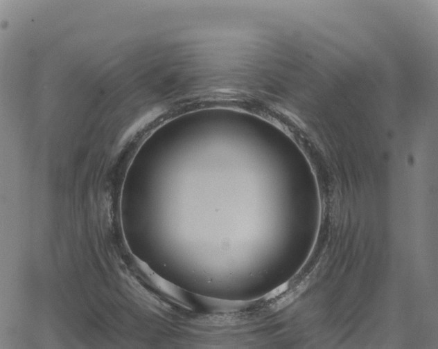 X0000062931402200601181258