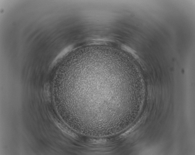 X0000062931403200601181258