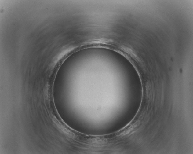 X0000062931404200601181258