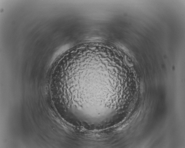 X0000062931405200601181258