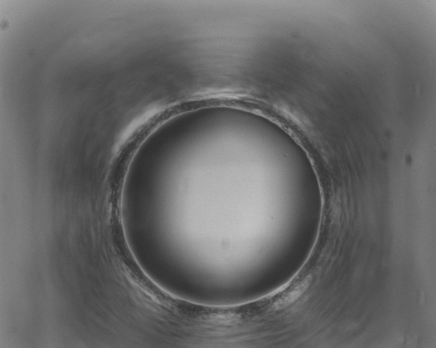 X0000062931406200601181258