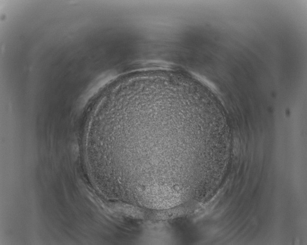 X0000062931407200601181258