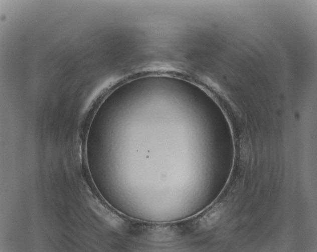 X0000062931408200601181258