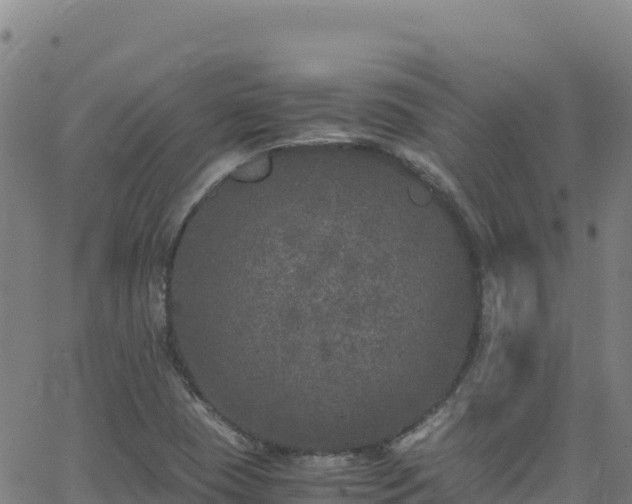 X0000062931409200601181258