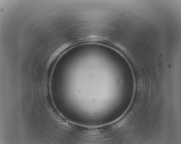 X0000062931410200601181258