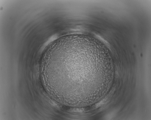 X0000062931411200601181258