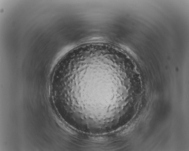 X0000062931413200601181258