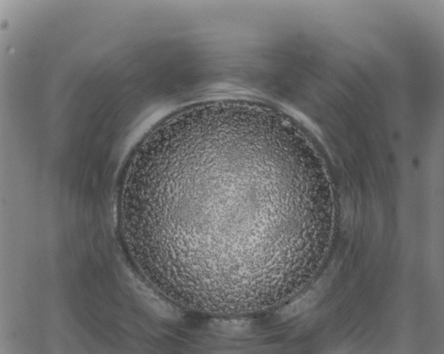 X0000062931415200601181258