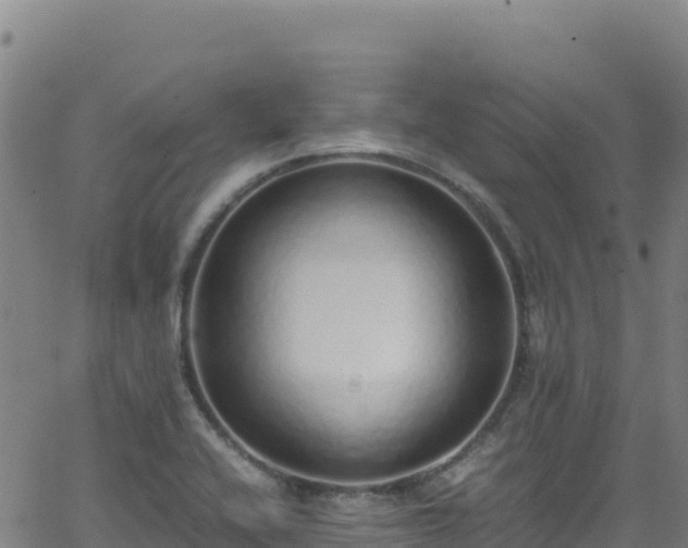 X0000062931416200601181258