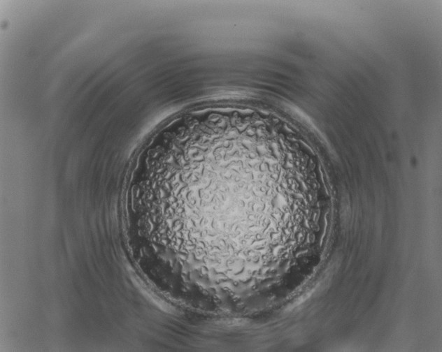 X0000062931417200601181258