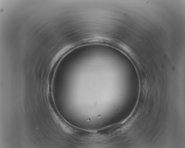 X0000062931418200601181258