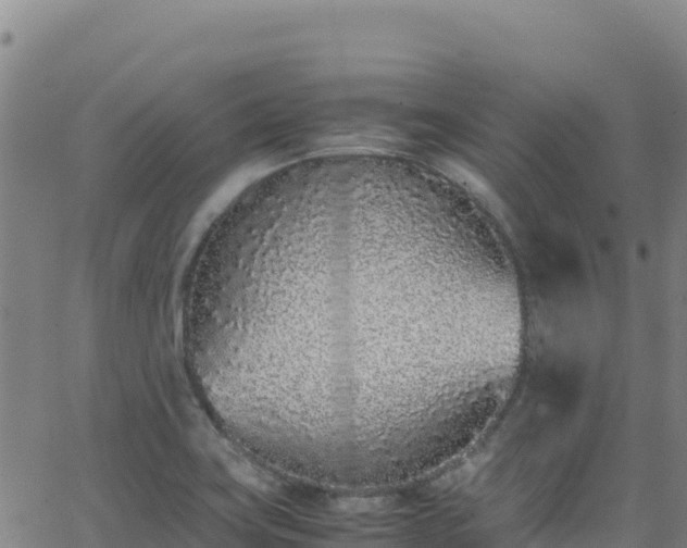 X0000062931419200601181258