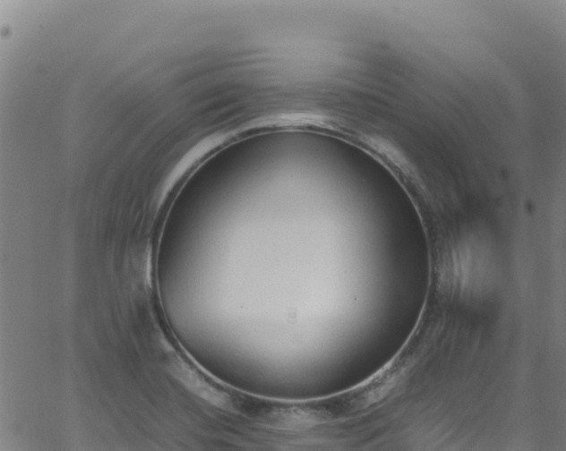 X0000062931420200601181258