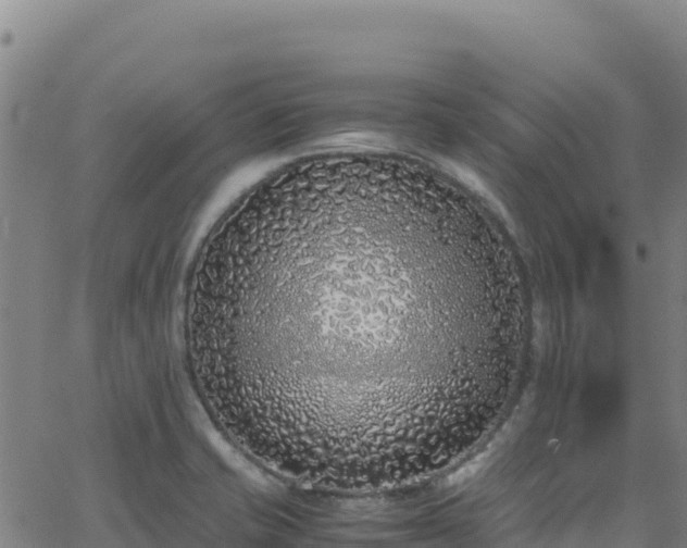 X0000062931421200601181258