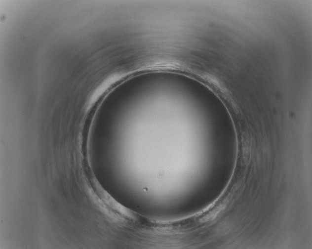 X0000062931422200601181258