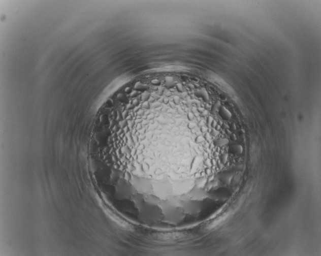 X0000062931425200601181258