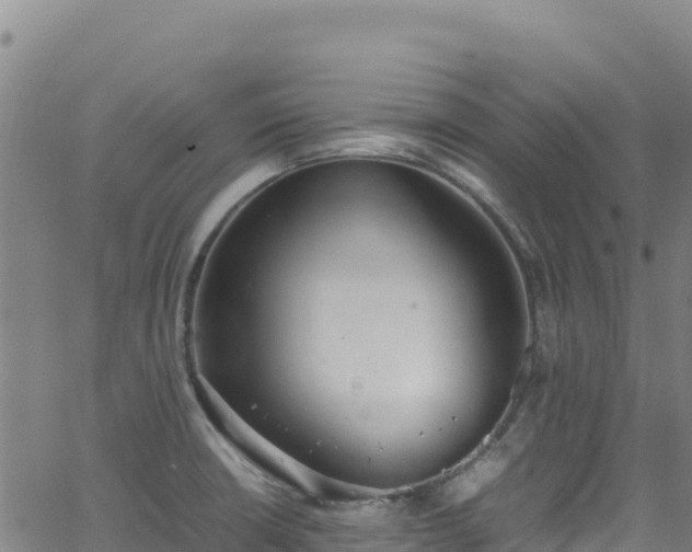 X0000062931426200601181258