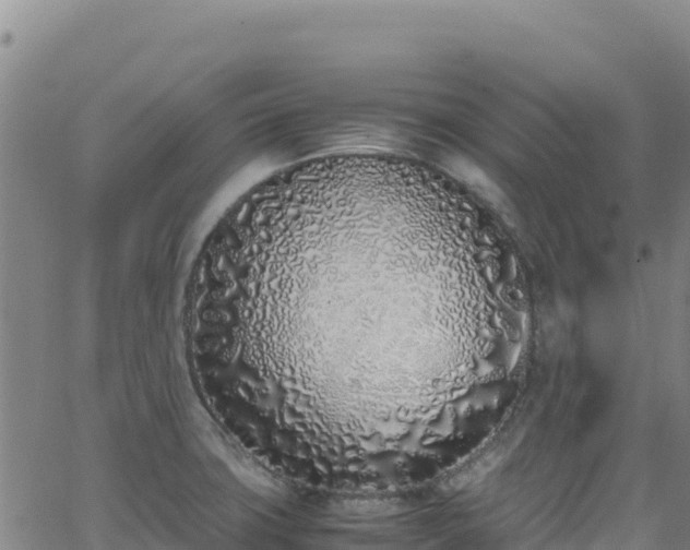 X0000062931427200601181258