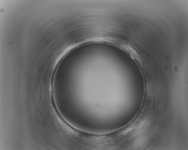 X0000062931428200601181258