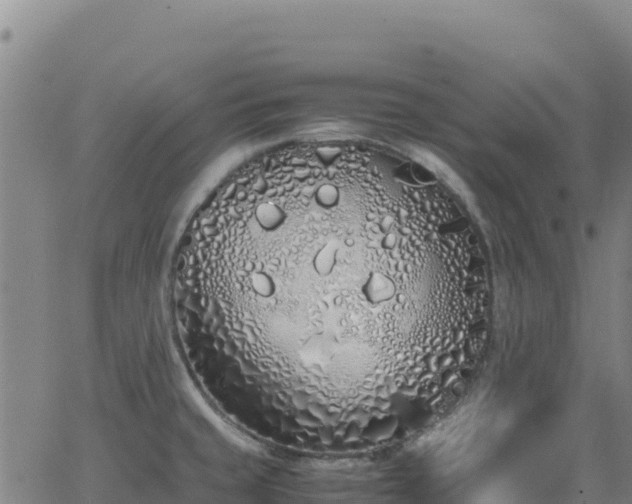 X0000062931429200601181258