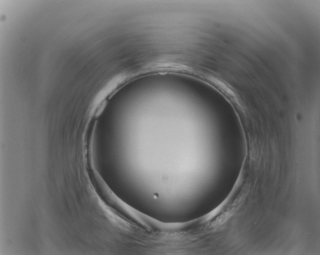 X0000062931430200601181258